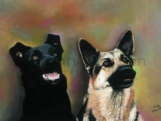 Dogs in pencil, oils, pastels Image.