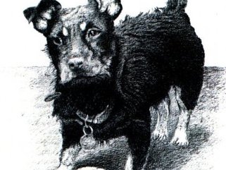 Dog & Ball, pencil drawing Image.