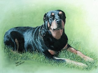 Rotweiller, oil painting Image.