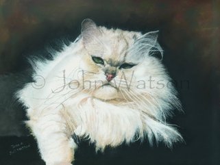 Cats in pencil, oils, pastel Image.