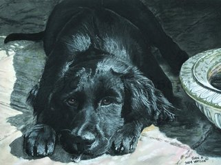 Millie, (pastel drawing) Image.