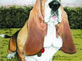 Basset Hound, Pastel Image.