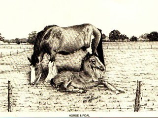 Horse & Foal, pencil Image.