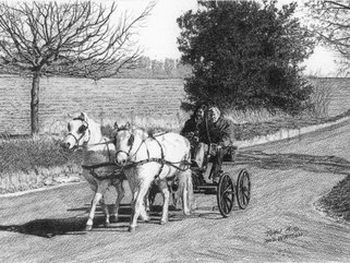 Pony and Trap (pencil drawing) Image.