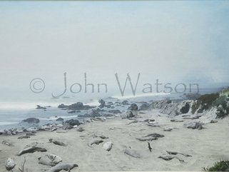 Piedras Biancas Elephant Seal beach, California, U.S.A. (pastel drawing) Image.