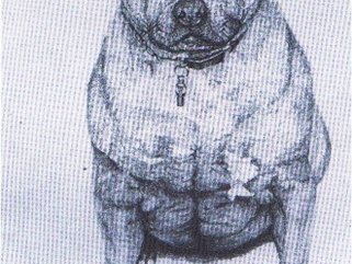 dog 2, pencil drawing Image.