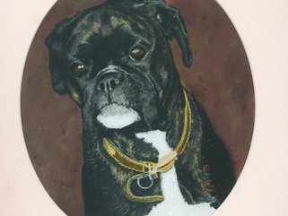 Bessie, boxer Image.