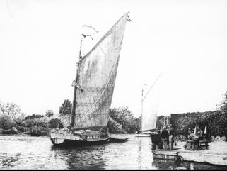 Wherry Hathor & moth Image.