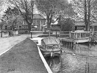 The lion Thurne Image.