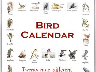 2020 Bird Calendar Image.