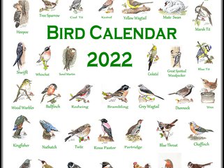 2022 Bird Calendar Image.