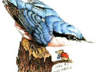 Nuthatch Image.