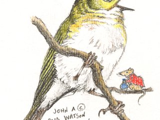 wood Warbler Image.